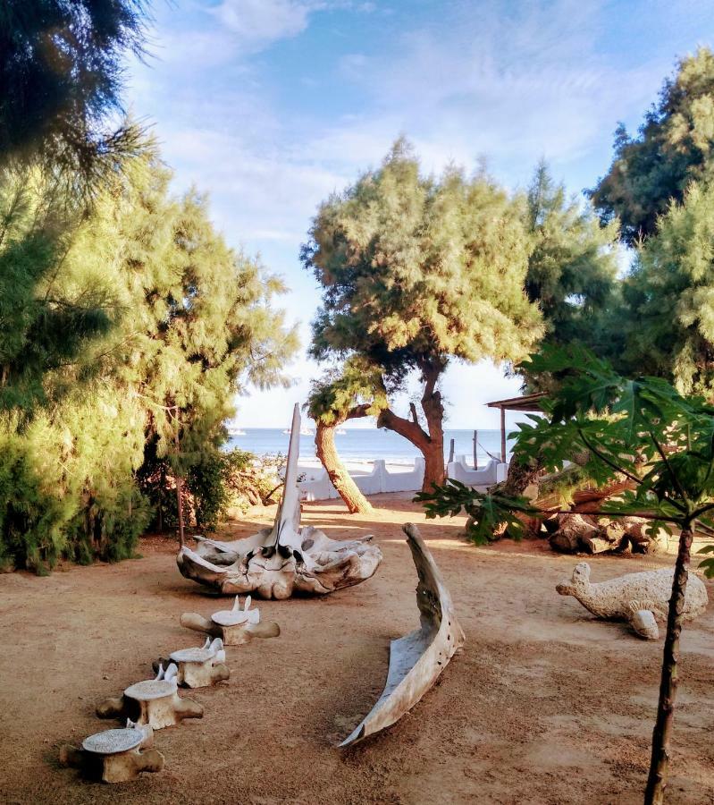 Punta Ballenas Mancora Lodge 외부 사진